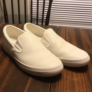 White Fred perry